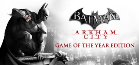 batman arkham city manual download