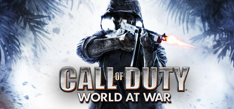 Call of Duty - World at War 电脑作弊码和修改器