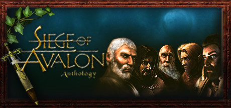 Siege of Avalon Anthology Cheats